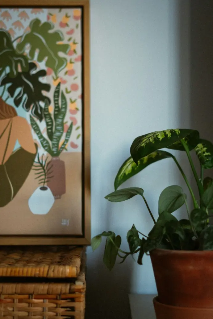 green plant on brown wooden table